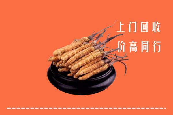 附近收购：闻喜县冬虫夏草回收多少钱每克