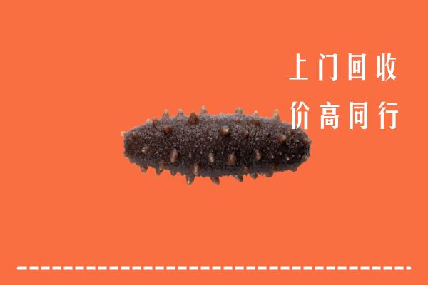 闻喜县回收海参