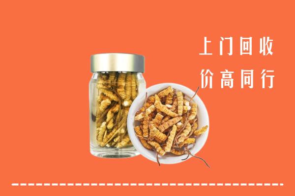 闻喜县回收冬虫夏草